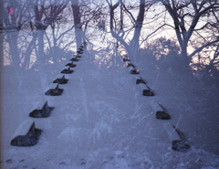 初雪が降った日 #5