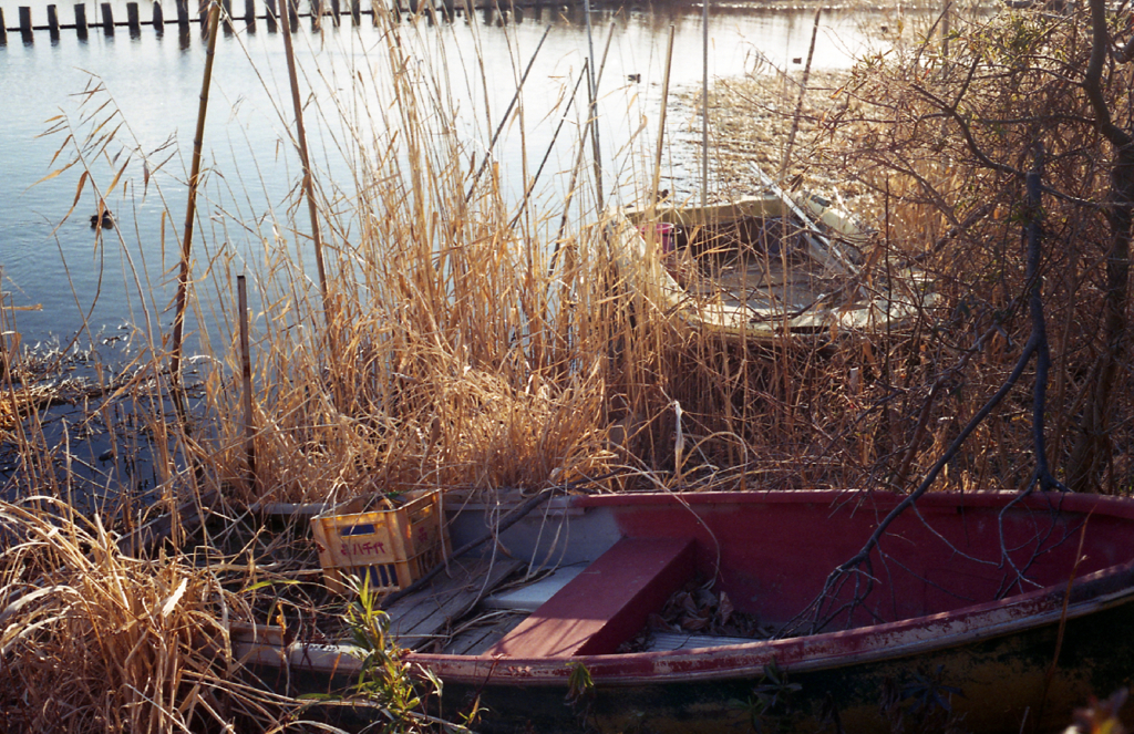 konica C35FD #3