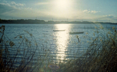 konica C35FD #4
