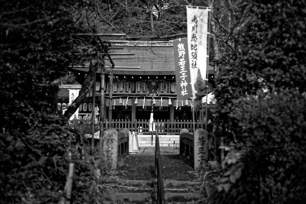 Kyoto Trip Snap #113