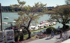 Canonet G-III 17 #10