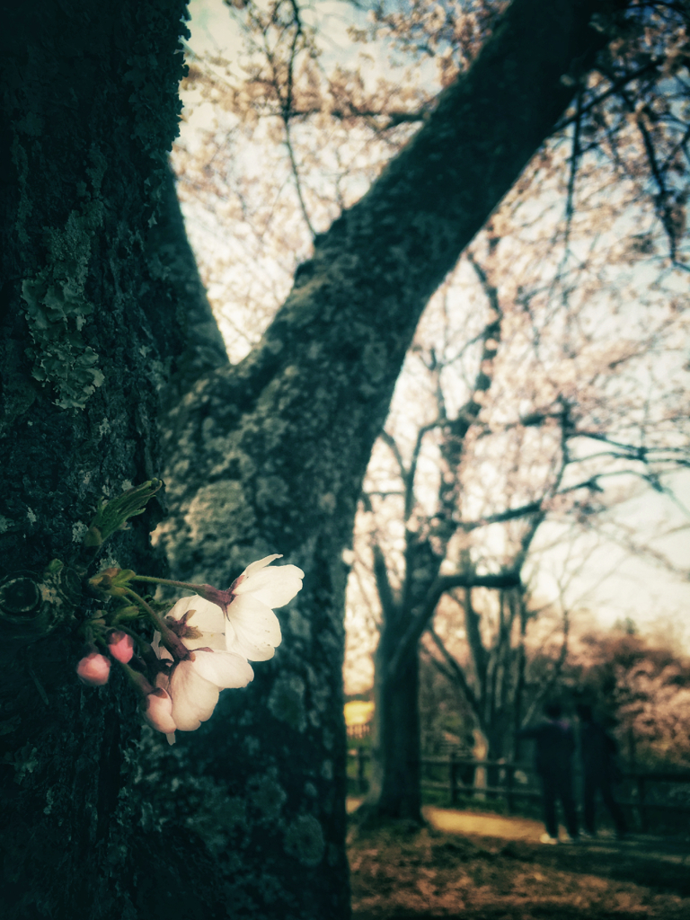 retro dreaming #04
