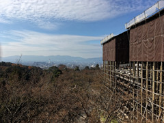Kyoto Trip Snap #9