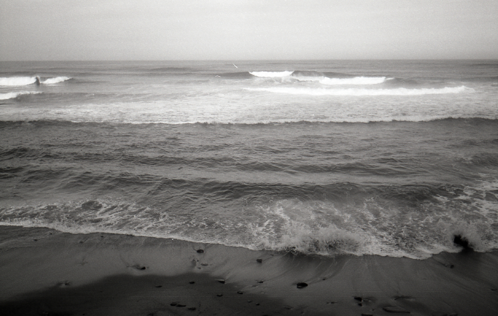 OLYMPUS WIDE #10