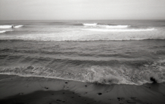 OLYMPUS WIDE #10