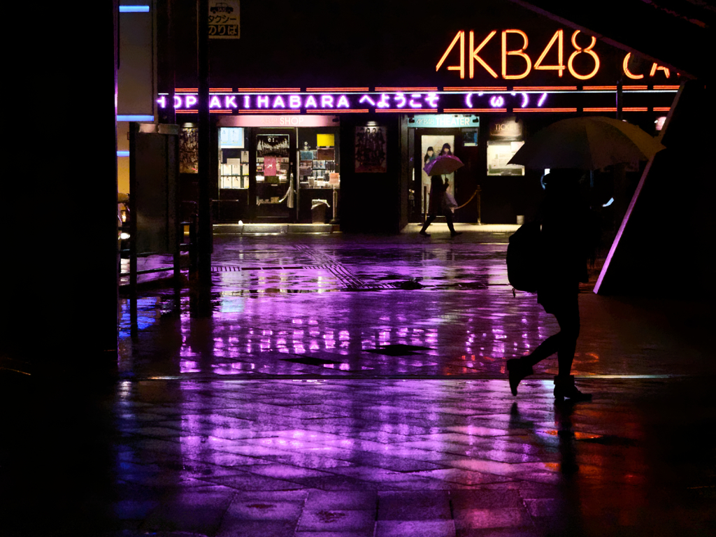 Akihabara high reflectance #18