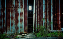Ricoh R1 #28
