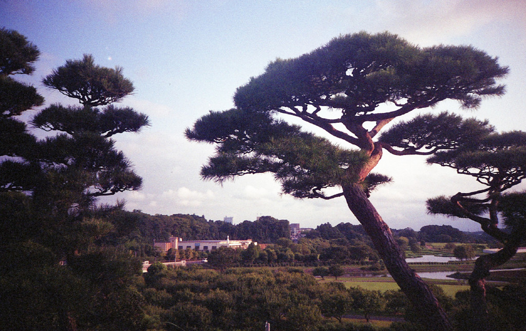 P.mini 2 #2