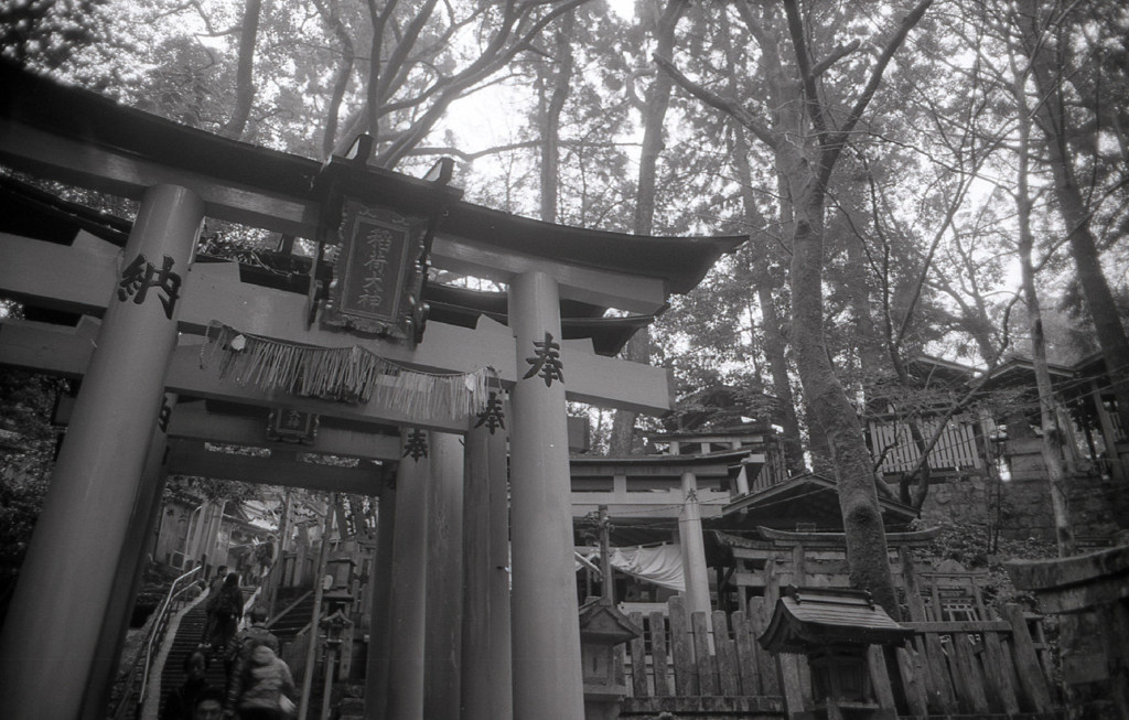 Ricoh R1 #19