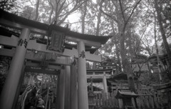 Ricoh R1 #19