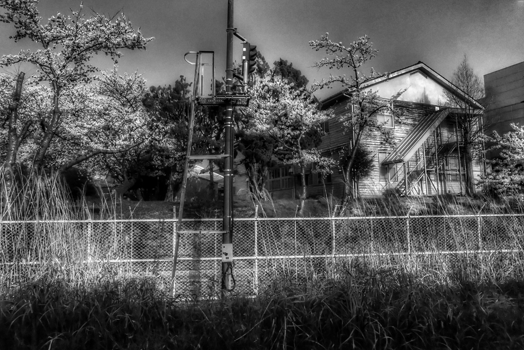 Rail Road Movies #2