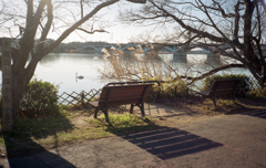 ジャーニーコニカ #6