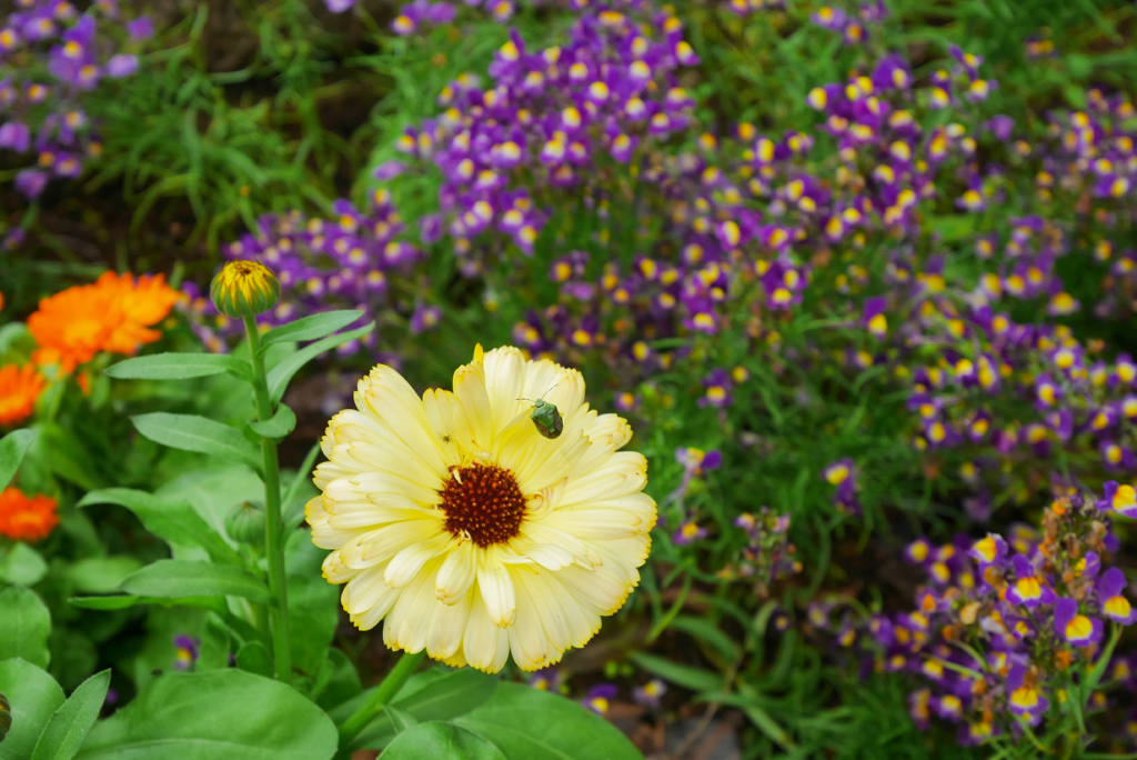 saturated colors　#15