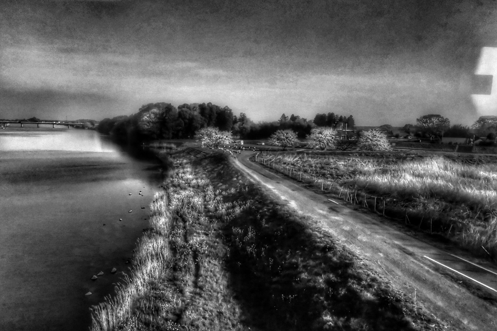 Rail Road Movies #19