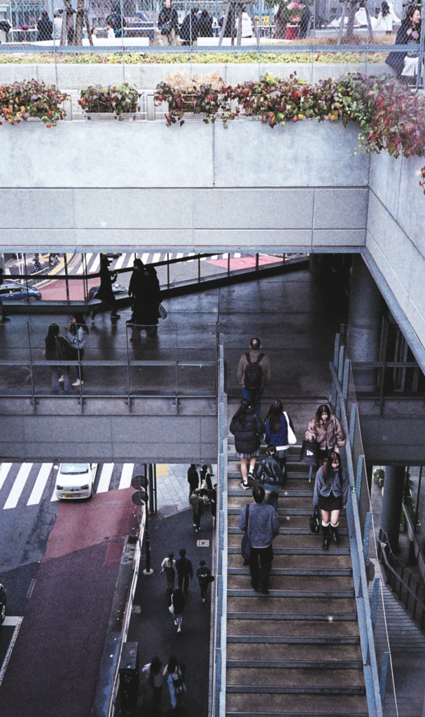 img4OLYMPUS 35DC #47