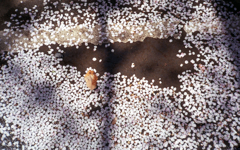 ジャーニーコニカ #2