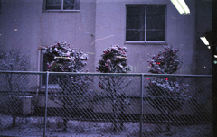 初雪が降った日 #3