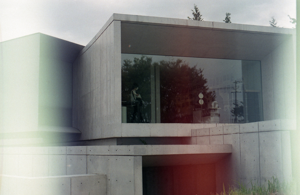 Canon AE-1 #8