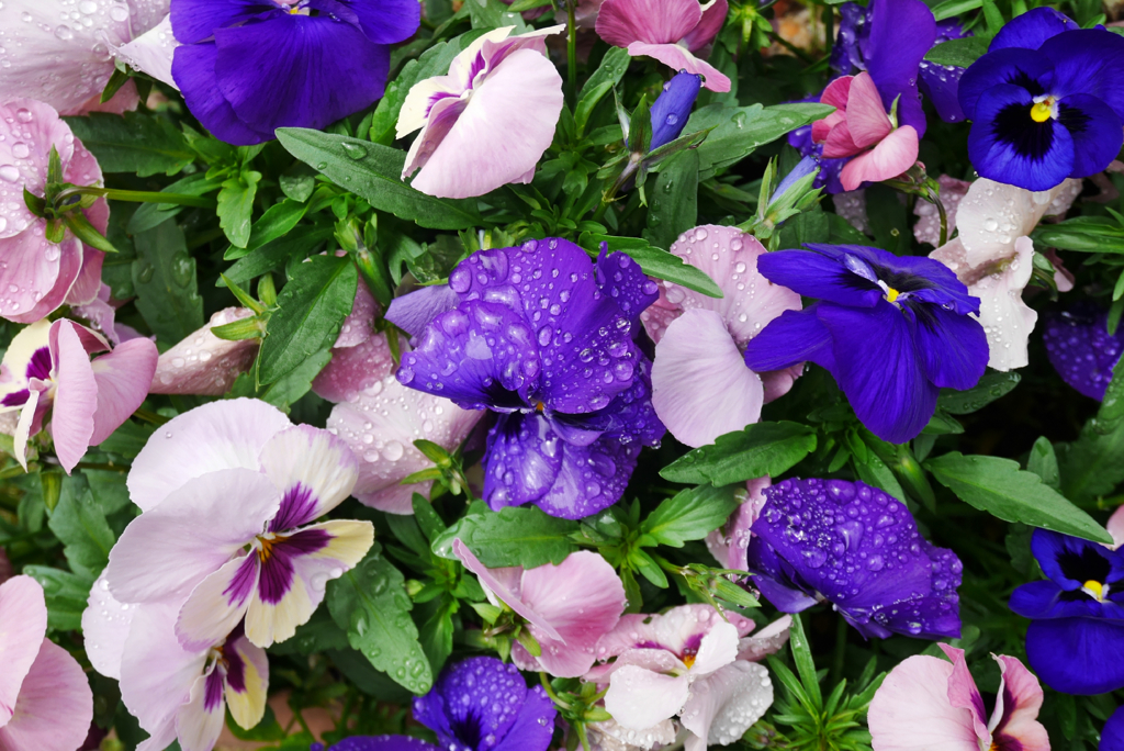 saturated colors　#02
