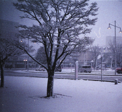 初雪が降った日 #2