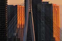 斜光