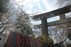 a spring day in the Ueno #16