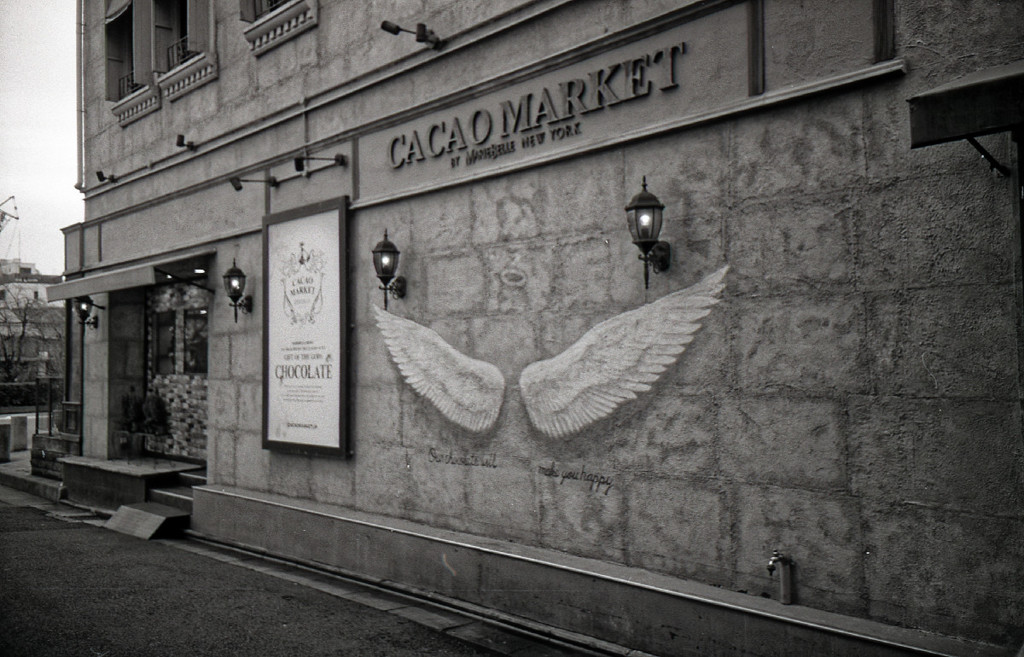 Ricoh R1 #15