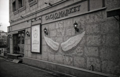 Ricoh R1 #15