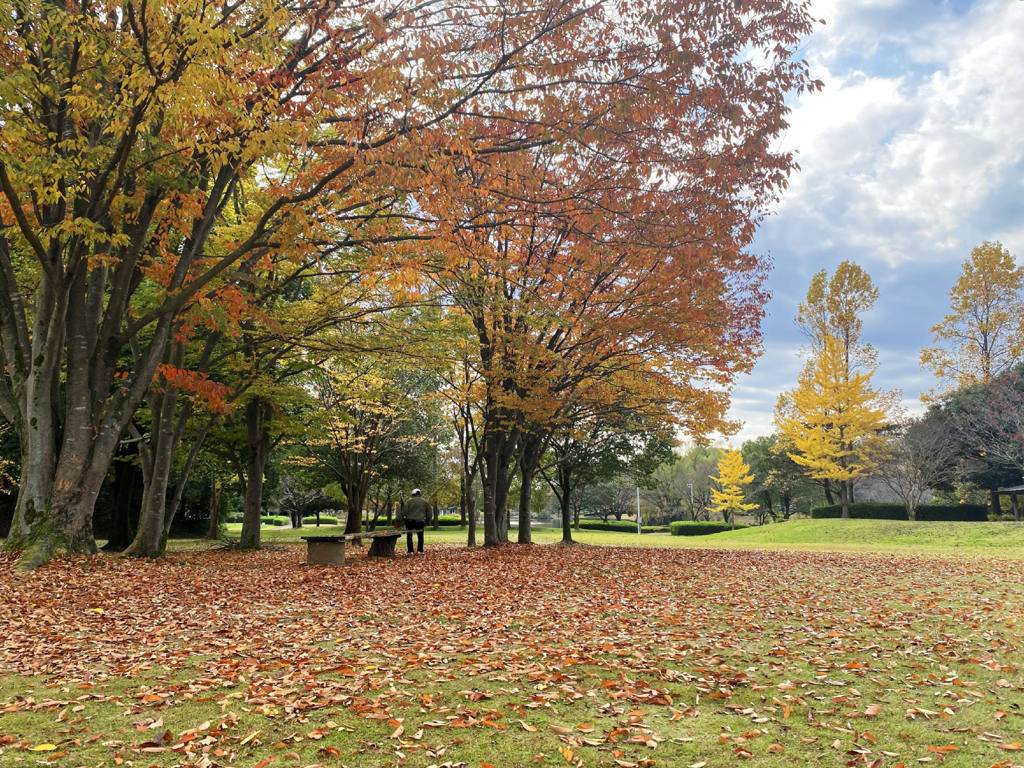 開店までの時間、公園で過ごす。 #4