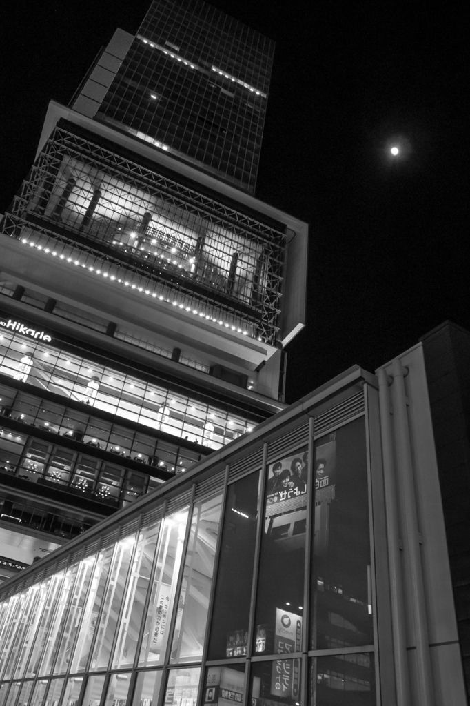 shibuya winter photos 2012 #19