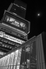 shibuya winter photos 2012 #19