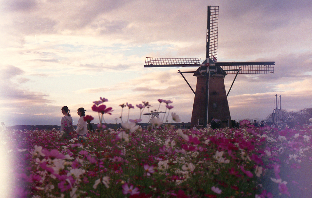 Canon AE-1 #5