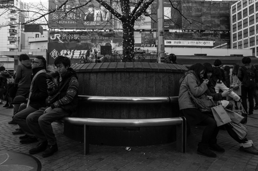 shibuya winter photos 2012 #2
