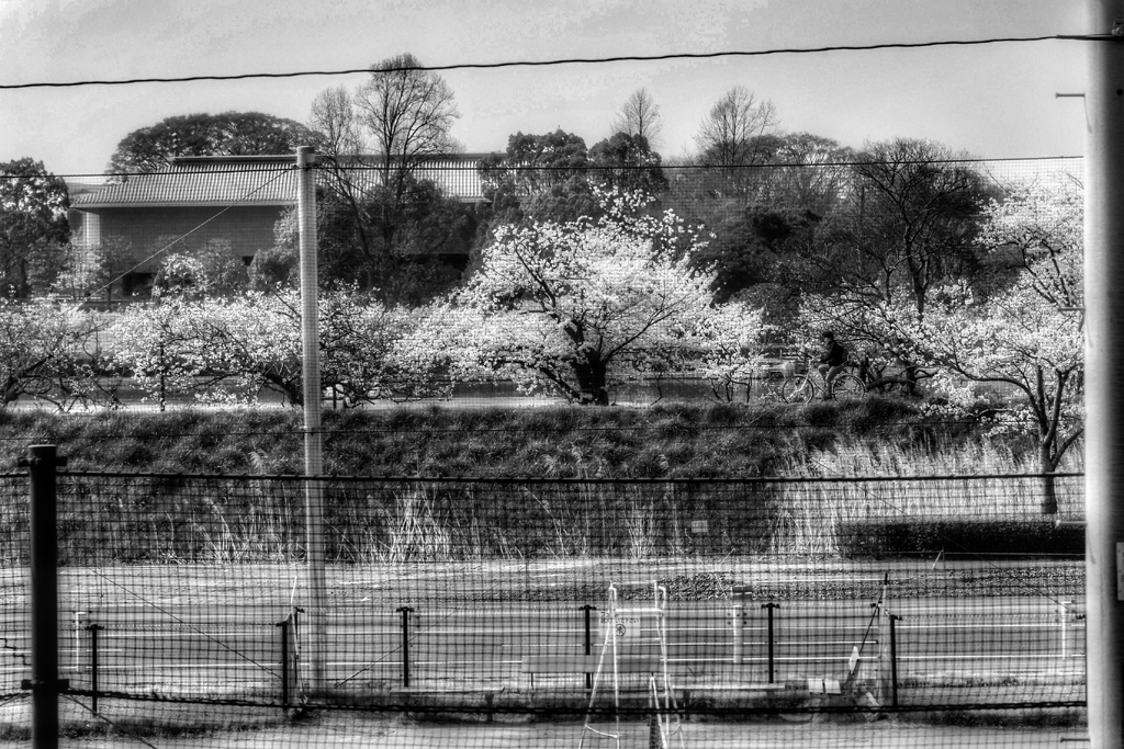 Rail Road Movies #9