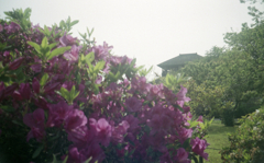 Rollei Flash 35 #18