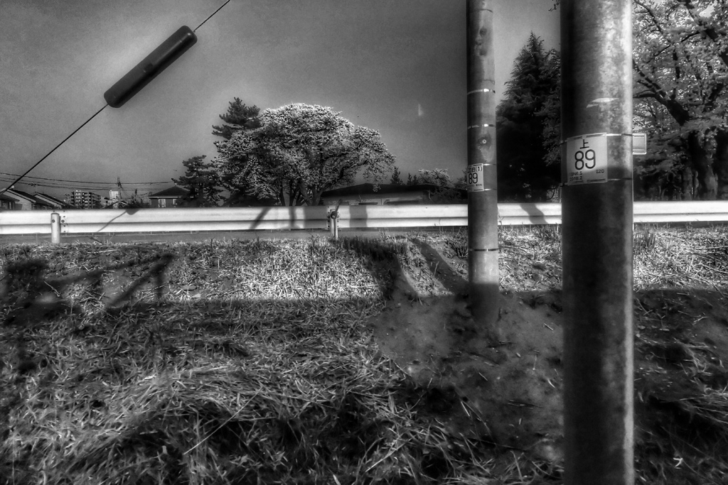 Rail Road Movies #18
