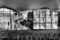 Rail Road Movies #6