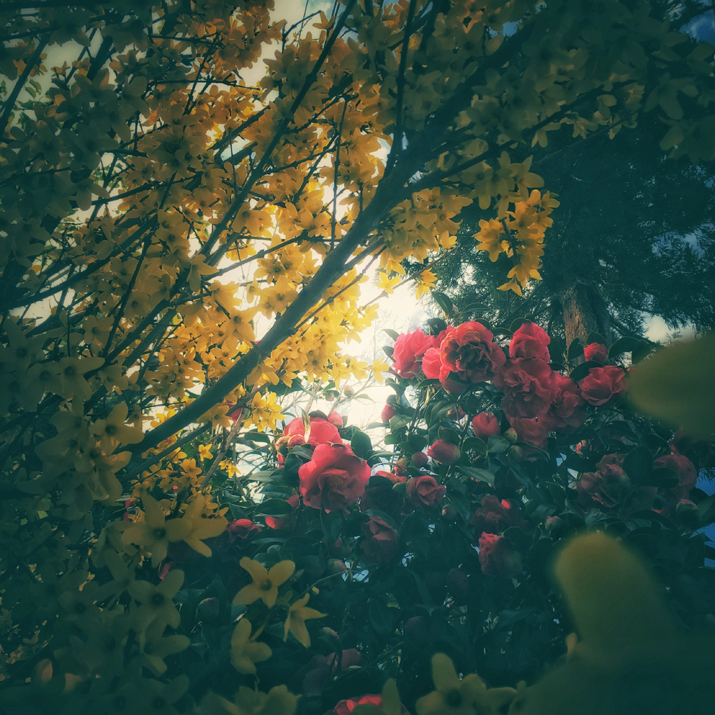 retro dreaming #01