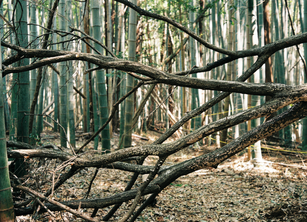 OLYMPUS 35DC #2