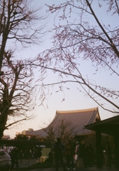 Asakusa camera #35