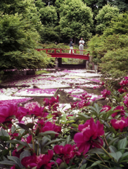 Olympus PEN D3 #3