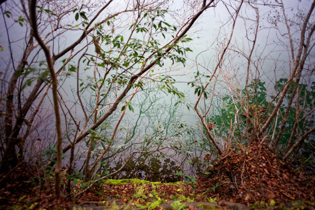 Kyoto Trip Snap #75
