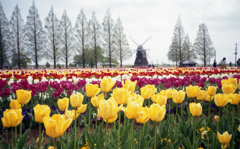 ジャーニーコニカ #３