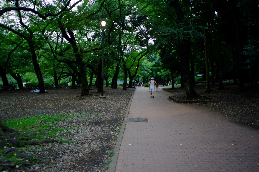 Memories of Kichijyoji #47