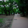 Memories of Kichijyoji #47