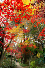 庭園公開2025 #11