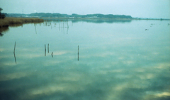 yashica35 #8