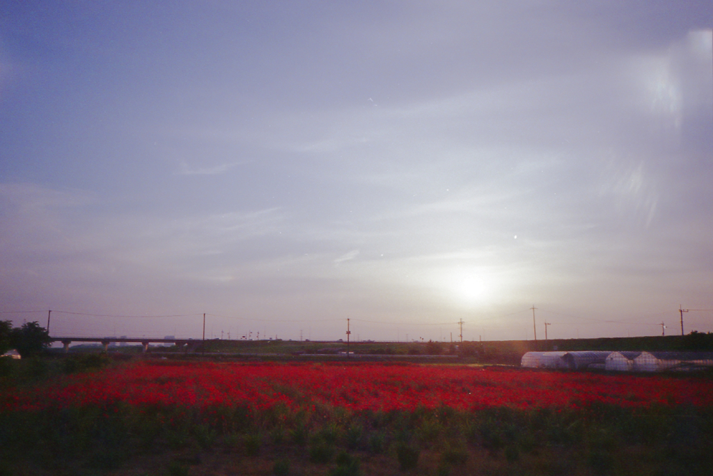 CARDIA travel mini Ⅱ #01