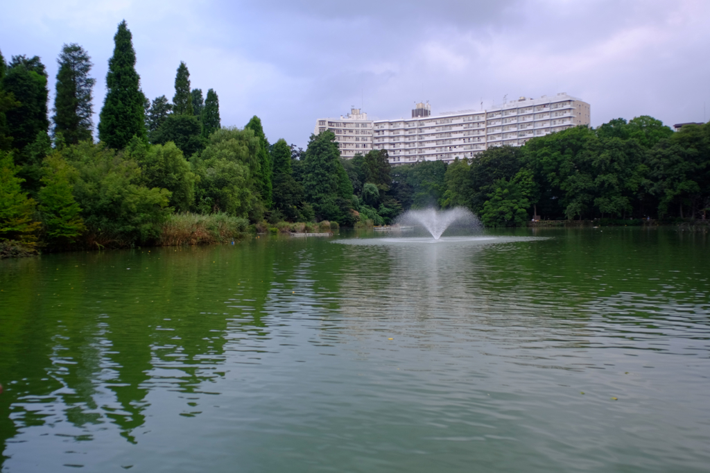 Memories of Kichijyoji #44