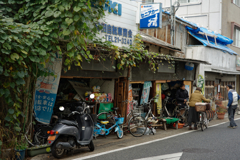 Kyoto Trip Snap #45